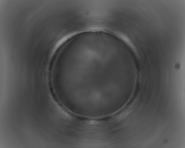 X0000094901412200712131420