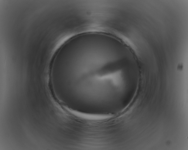 X0000094901415200712131420