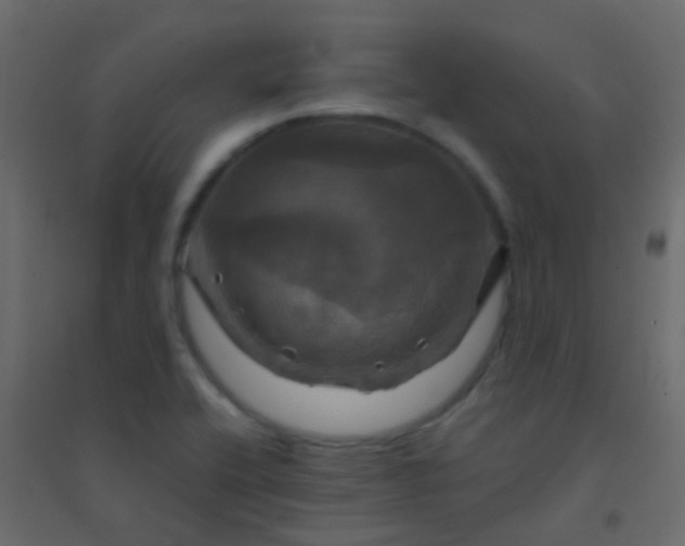 X0000094901416200712131420