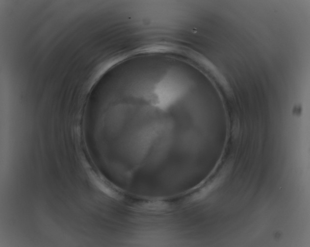X0000094901417200712131420