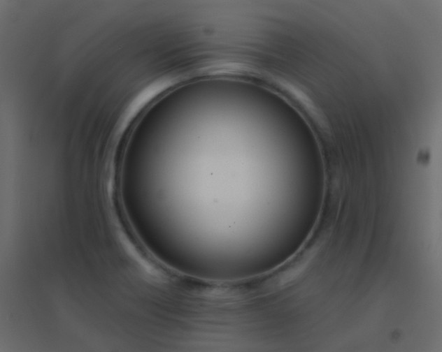 X0000094901418200712131420