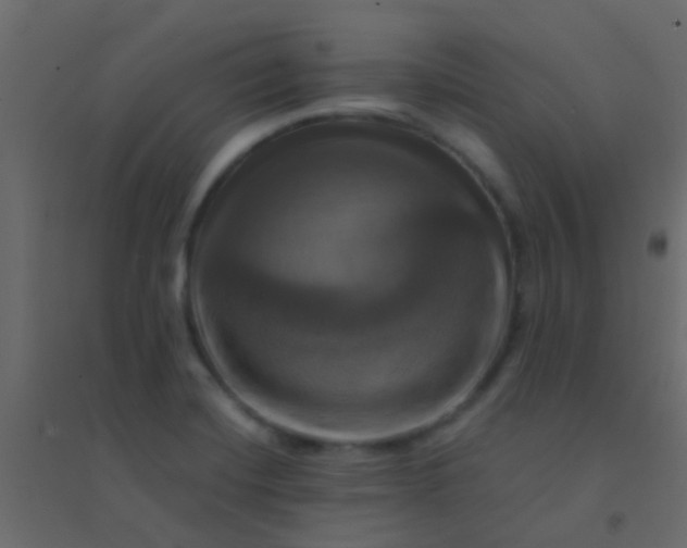 X0000094901420200712131420