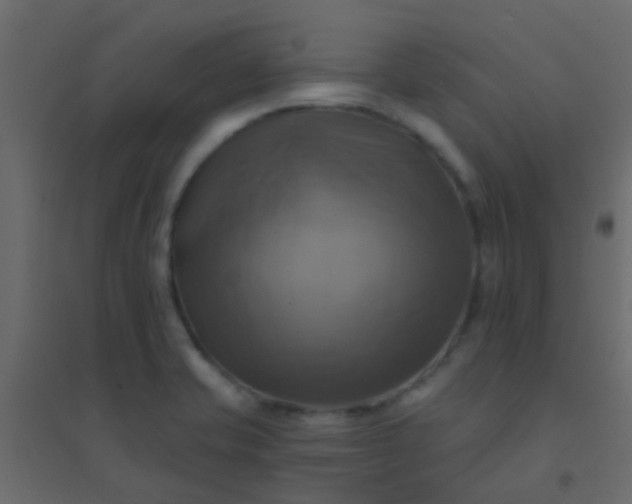 X0000094901421200712131420