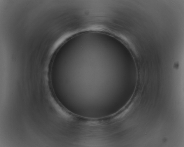 X0000094901422200712131420