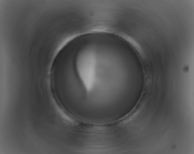 X0000094901423200712131420