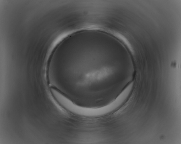 X0000094901424200712131420