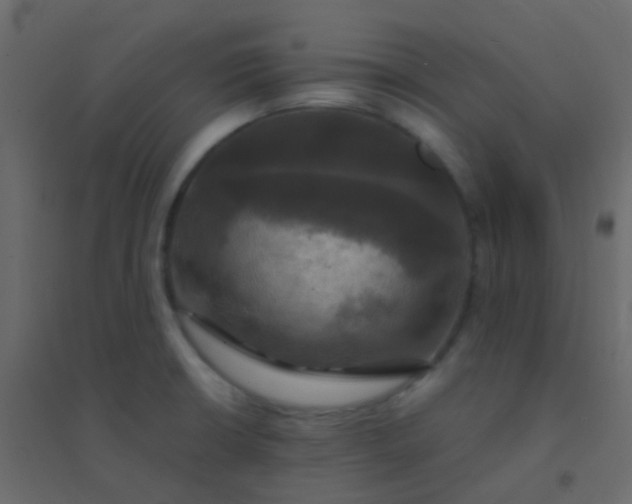 X0000094901426200712131421