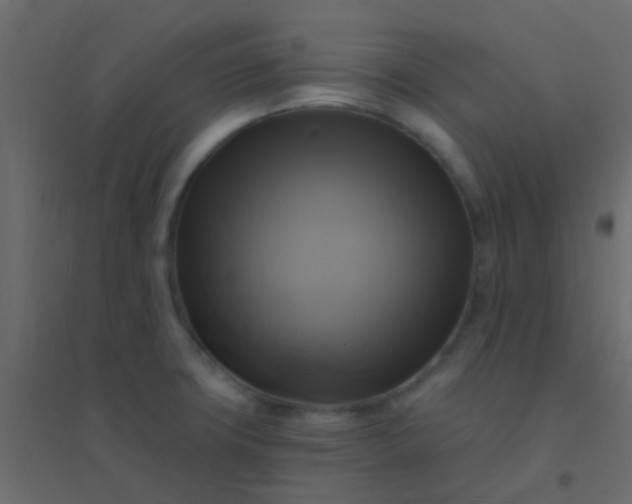 X0000094901427200712131421