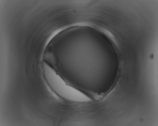 X0000094901428200712131421
