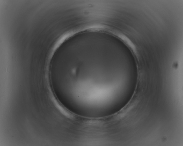 X0000094901429200712131421