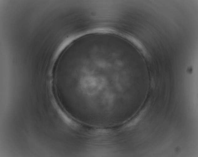 X0000094901430200712131421