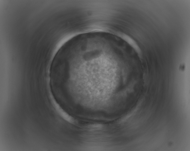 X0000094901431200712131421