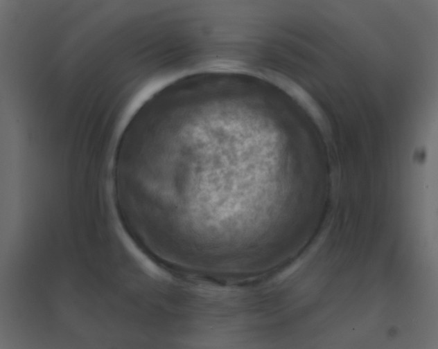 X0000094901432200712131421