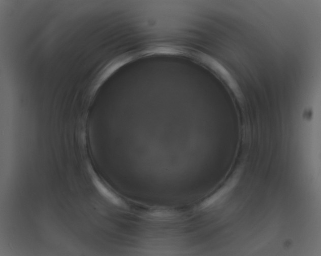 X0000094901433200712131421