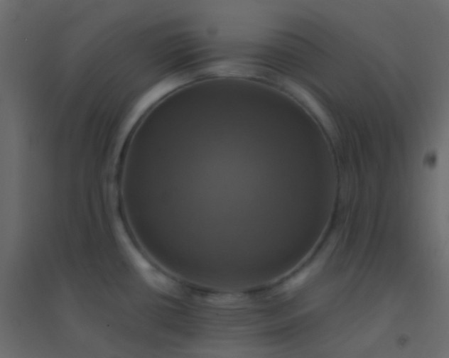 X0000094901434200712131421