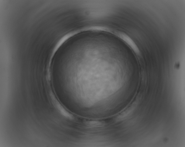 X0000094901436200712131421