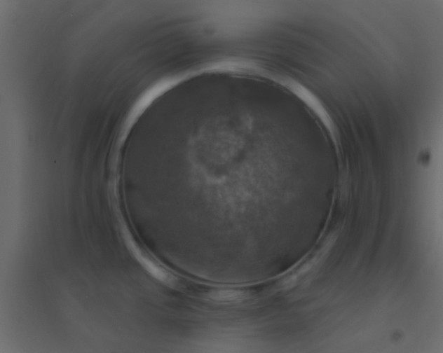 X0000094901437200712131421