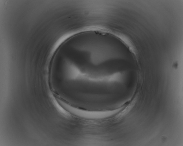 X0000094901438200712131421