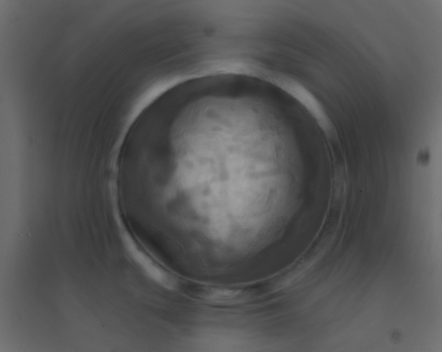 X0000094901439200712131421