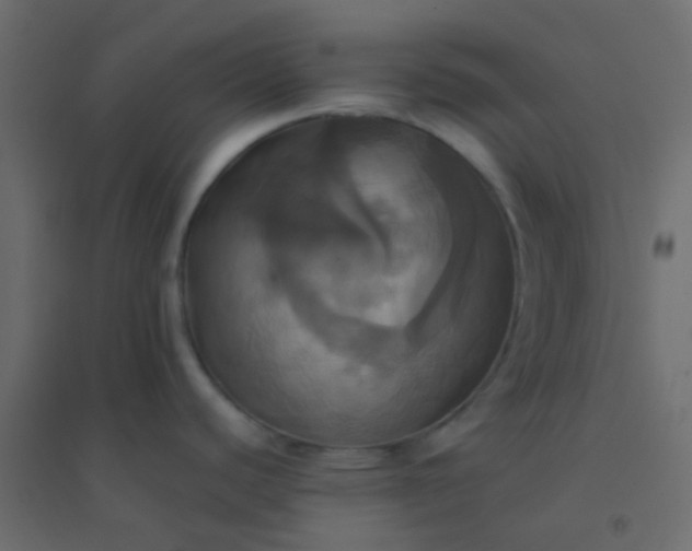 X0000094901440200712131421