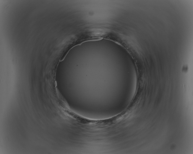 X0000094901441200712131420