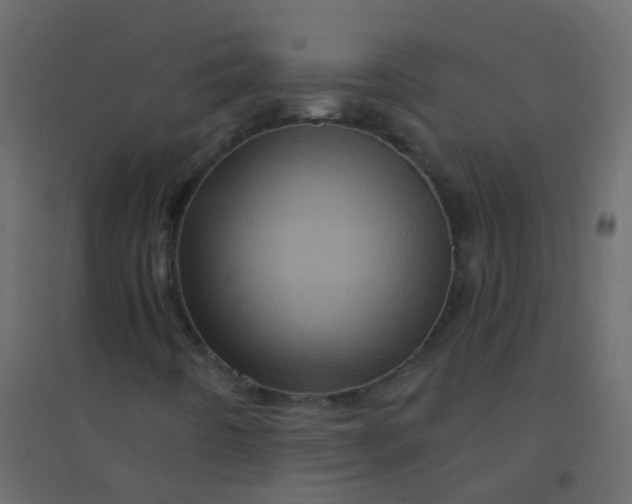 X0000094901442200712131420