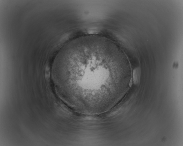 X0000094901443200712131420