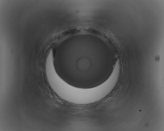 X0000094901445200712131420