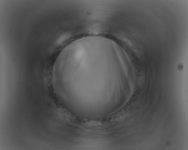 X0000094901446200712131420
