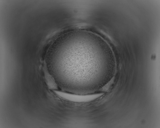 X0000094901447200712131420