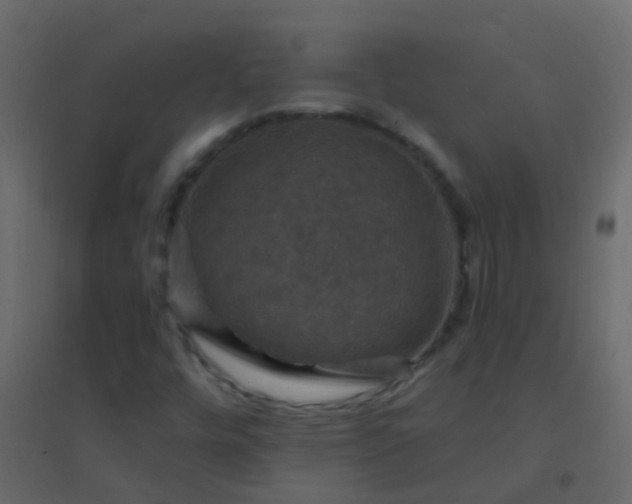 X0000094901448200712131420