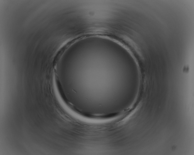 X0000094901449200712131420