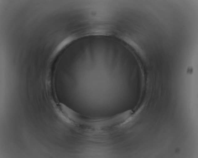 X0000094901450200712131420