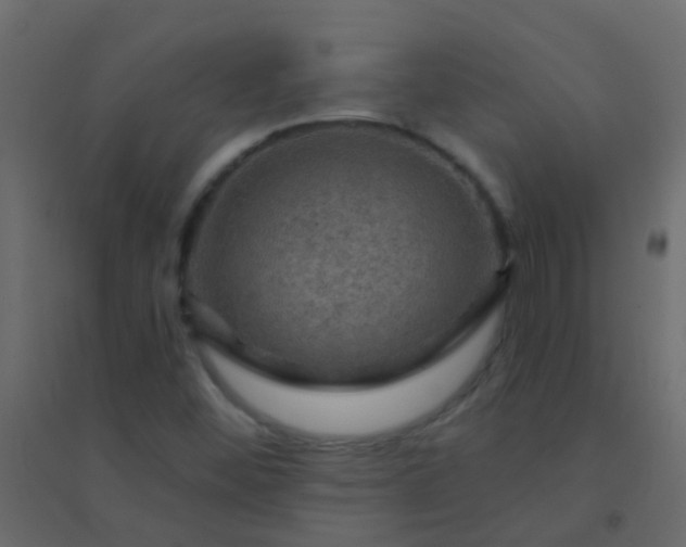 X0000094901452200712131420