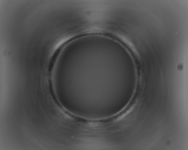 X0000094901453200712131420