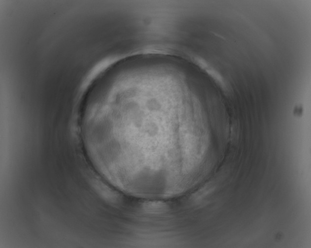 X0000094901454200712131420