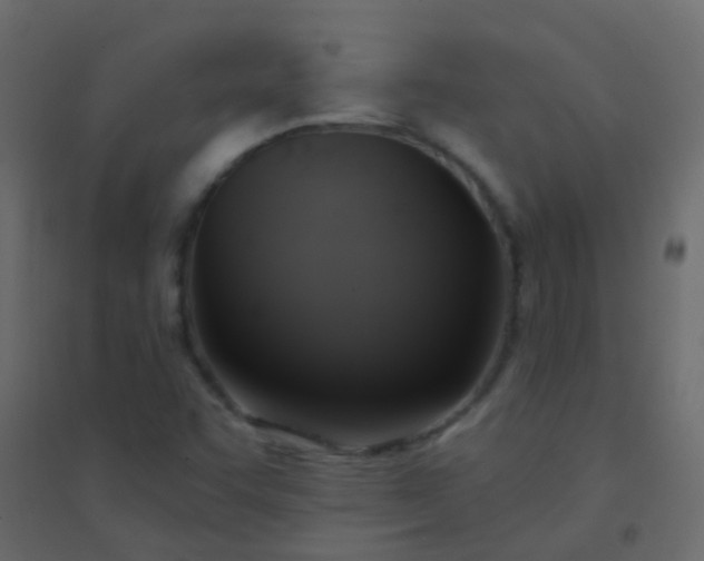 X0000094901455200712131420