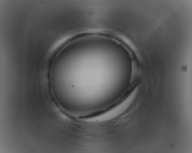 X0000094901456200712131420