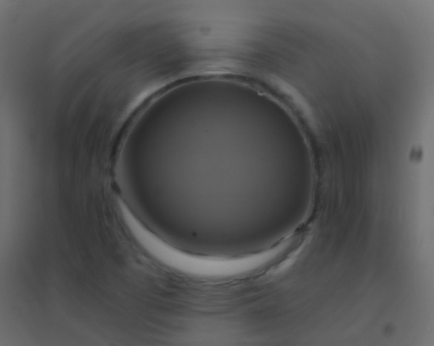 X0000094901457200712131420