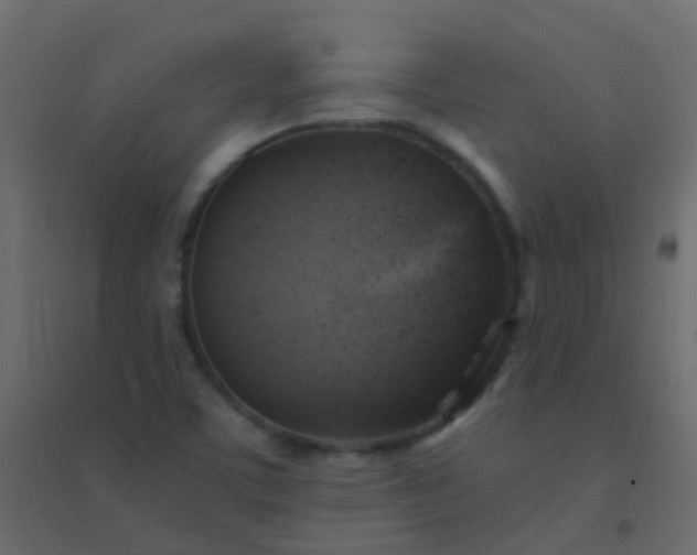 X0000094901459200712131420