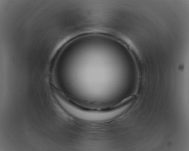 X0000094901460200712131420
