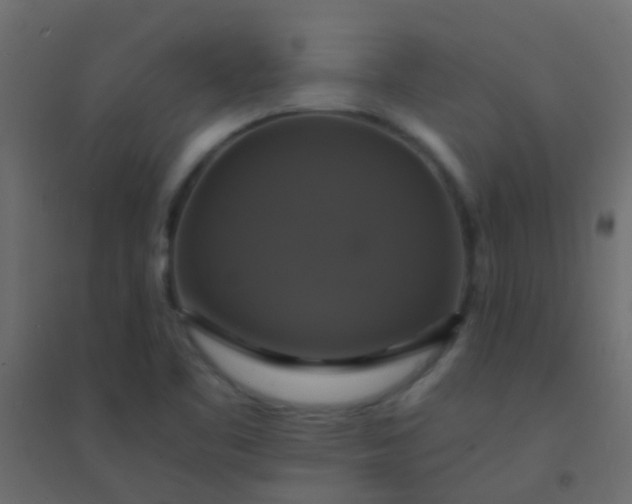 X0000094901461200712131420