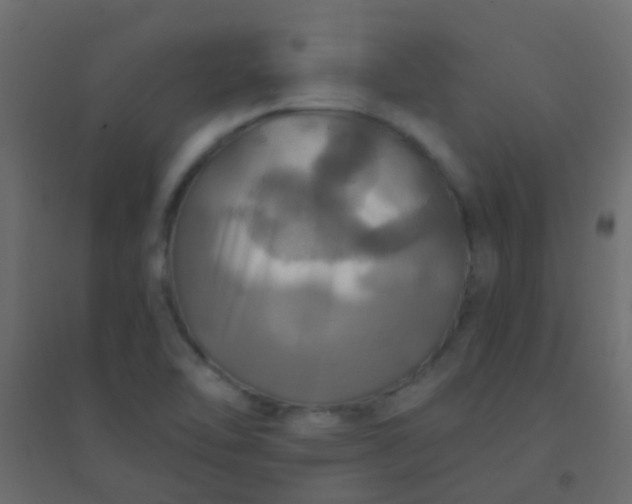 X0000094901462200712131420