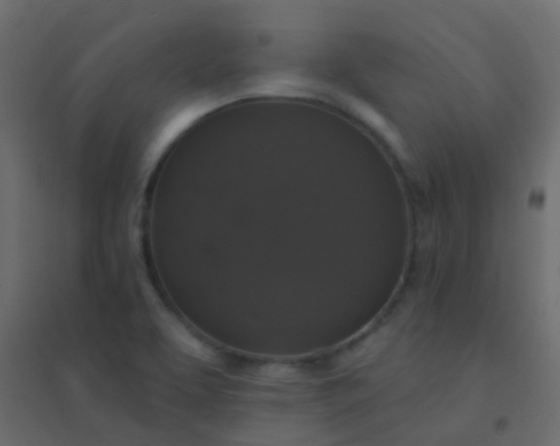 X0000094901463200712131420