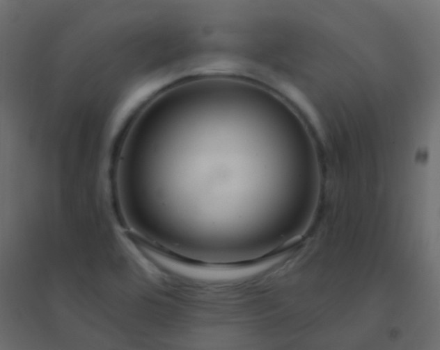 X0000094901464200712131420