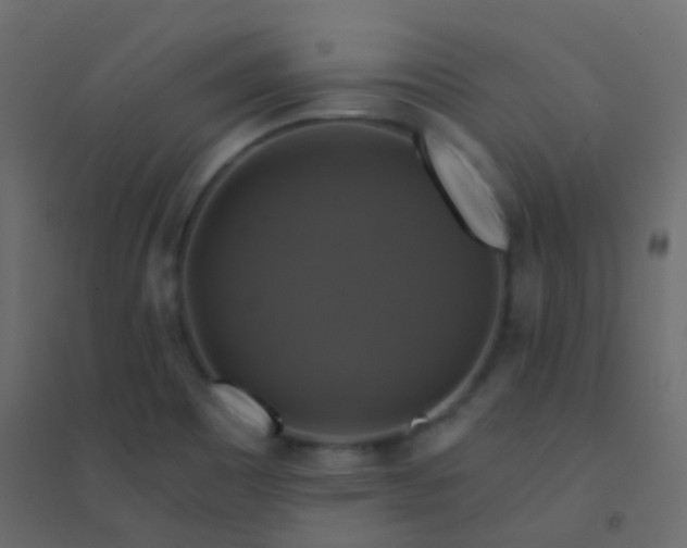 X0000094901465200712131420