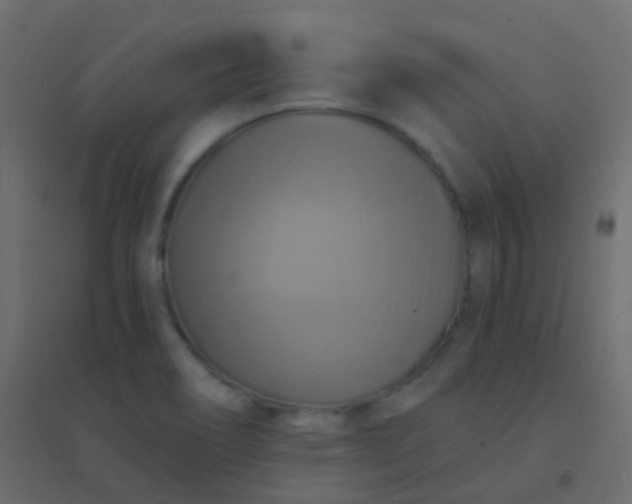 X0000094901466200712131420