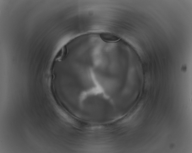 X0000094901467200712131420