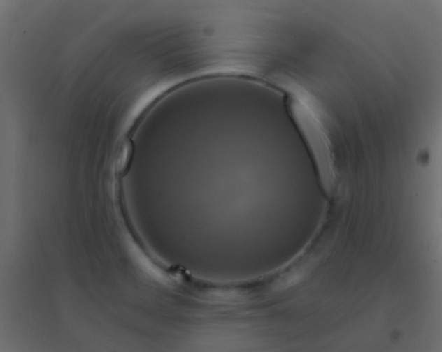 X0000094901468200712131420