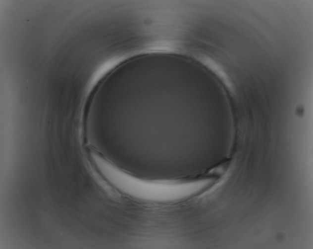 X0000094901469200712131420